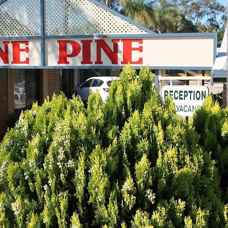 Lone Pine Motel Corowa Exteriör bild