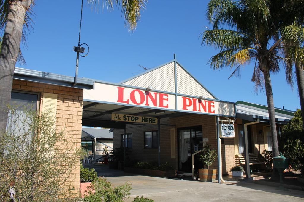 Lone Pine Motel Corowa Exteriör bild