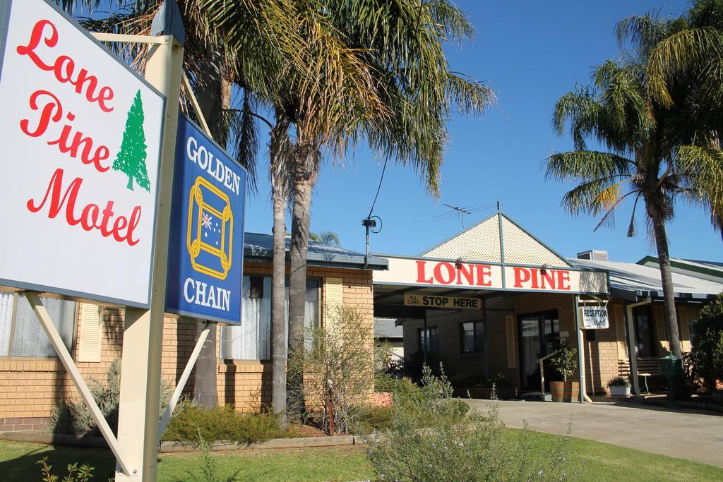 Lone Pine Motel Corowa Exteriör bild