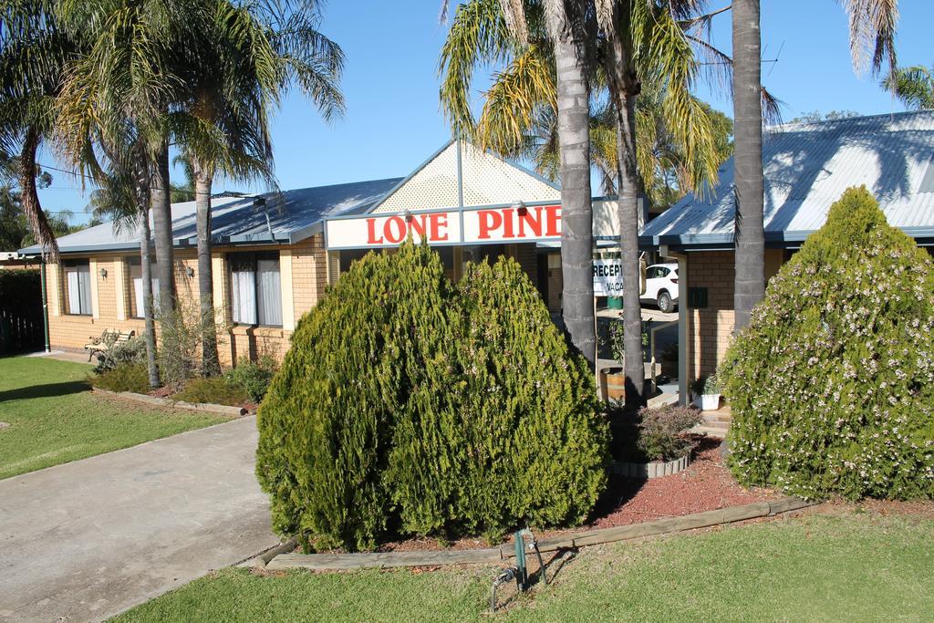 Lone Pine Motel Corowa Exteriör bild
