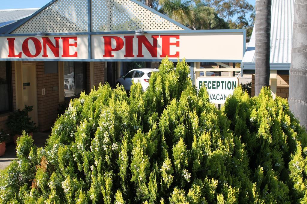 Lone Pine Motel Corowa Exteriör bild
