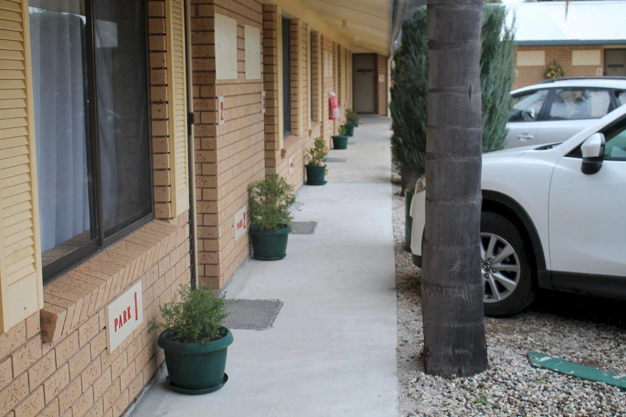 Lone Pine Motel Corowa Exteriör bild